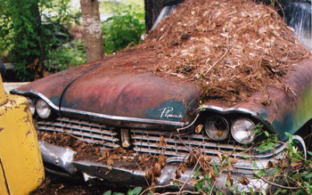 front left.jpg