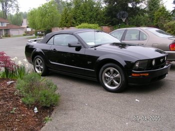 2005_mustang_convertible.jpg