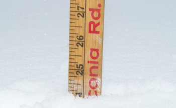 Snow yardstick.jpg