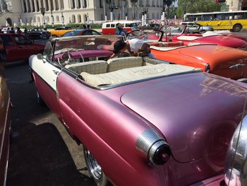 IMG_0317.JPG